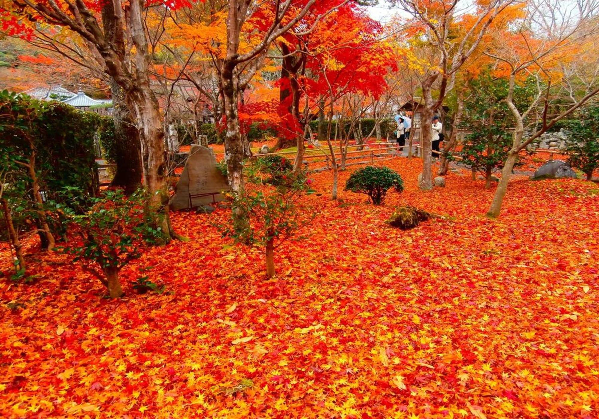 402 Newly Opened Hotel Baika Family Friendly Free Parking 10 Minutes To Usj Ōsaka Exterior foto